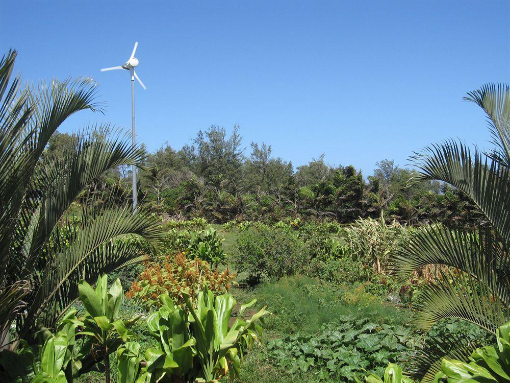 Villa Hawaii Island Retreat At Ahu Pohaku Ho'Omaluhia Kapaau Exterior foto