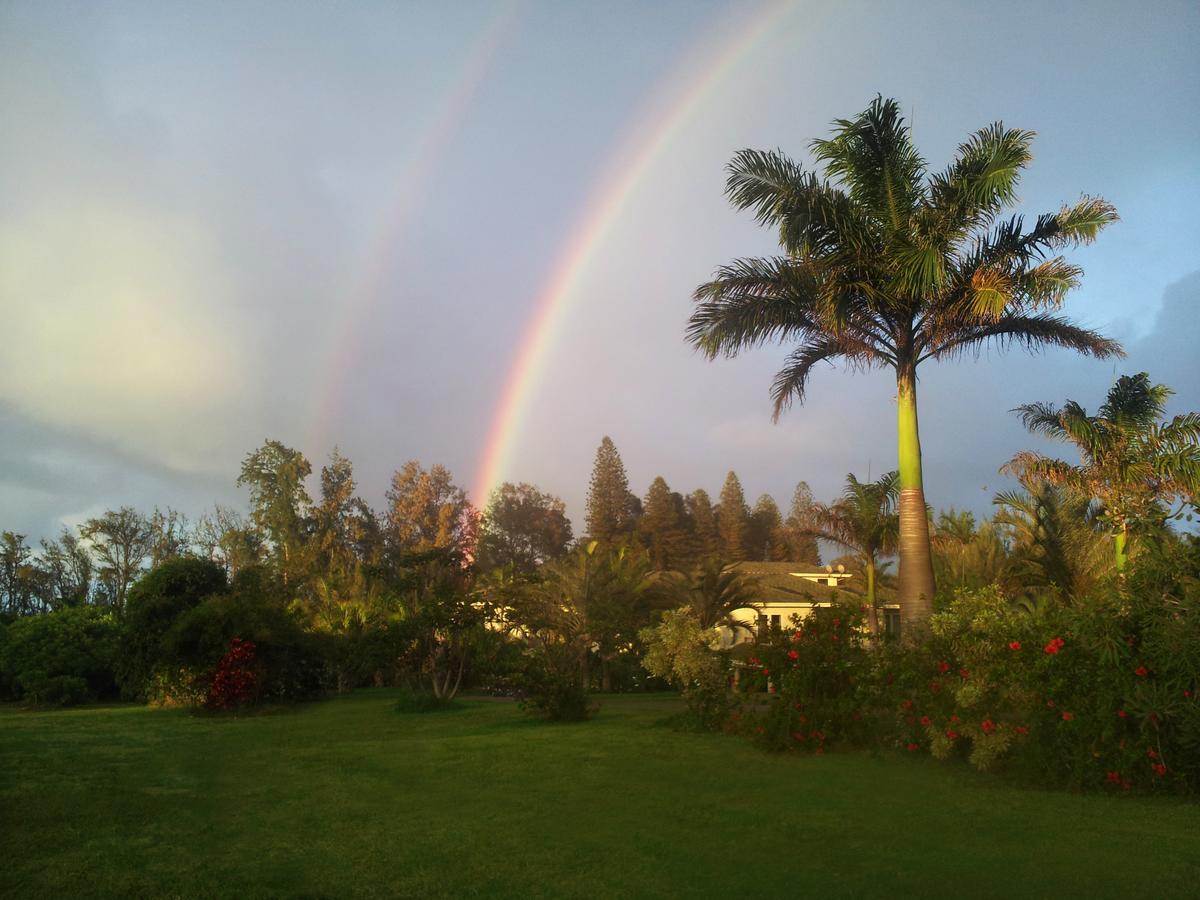 Villa Hawaii Island Retreat At Ahu Pohaku Ho'Omaluhia Kapaau Exterior foto